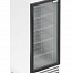 Шкаф холодильный Frostor RV 300 G PRO