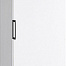 Шкаф морозильный Tefcold UFFS370SD-P